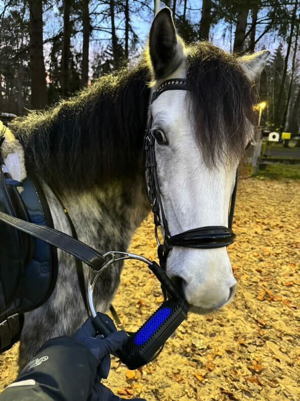 Produkttest: SPRENGER Bow Balance in der Reitschule