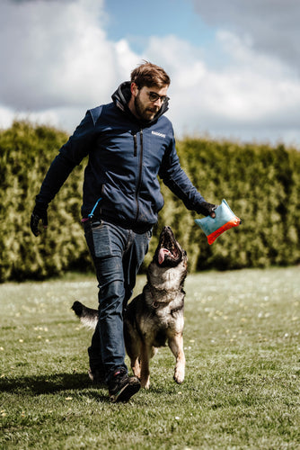 Welches Halsband für Hundesport?