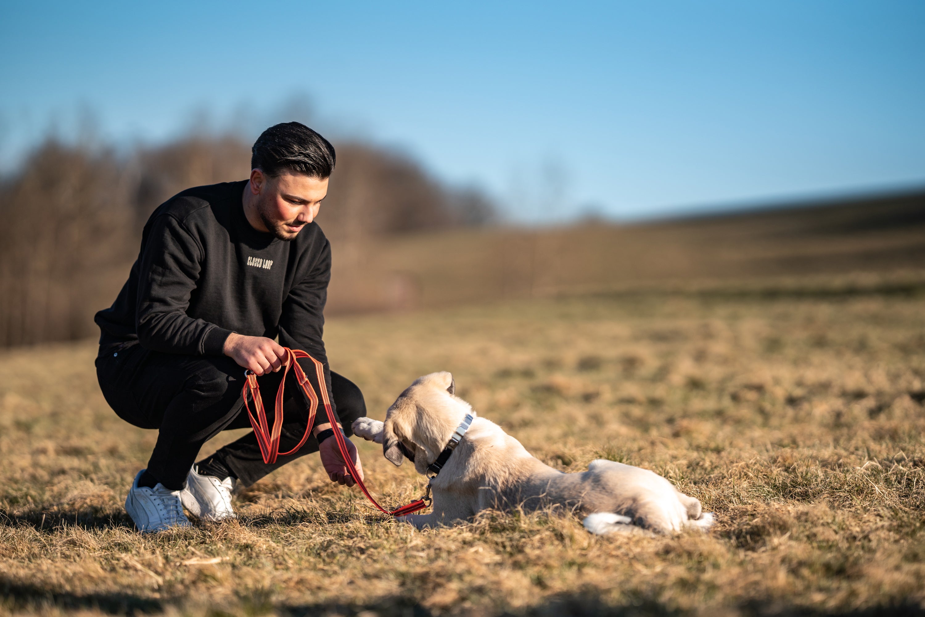 Ein Hund zieht ein! Was gehört zur Erstausstattung Hund?