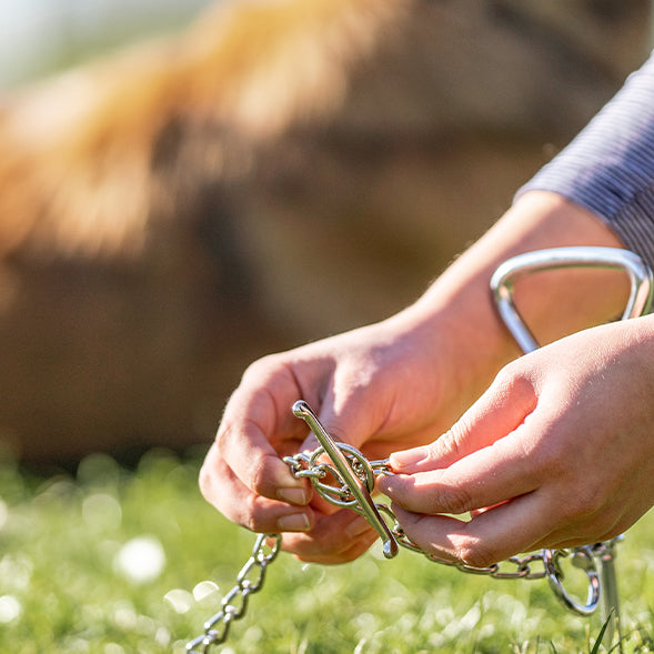 Hundesport/Ketten/Weitere Ketten