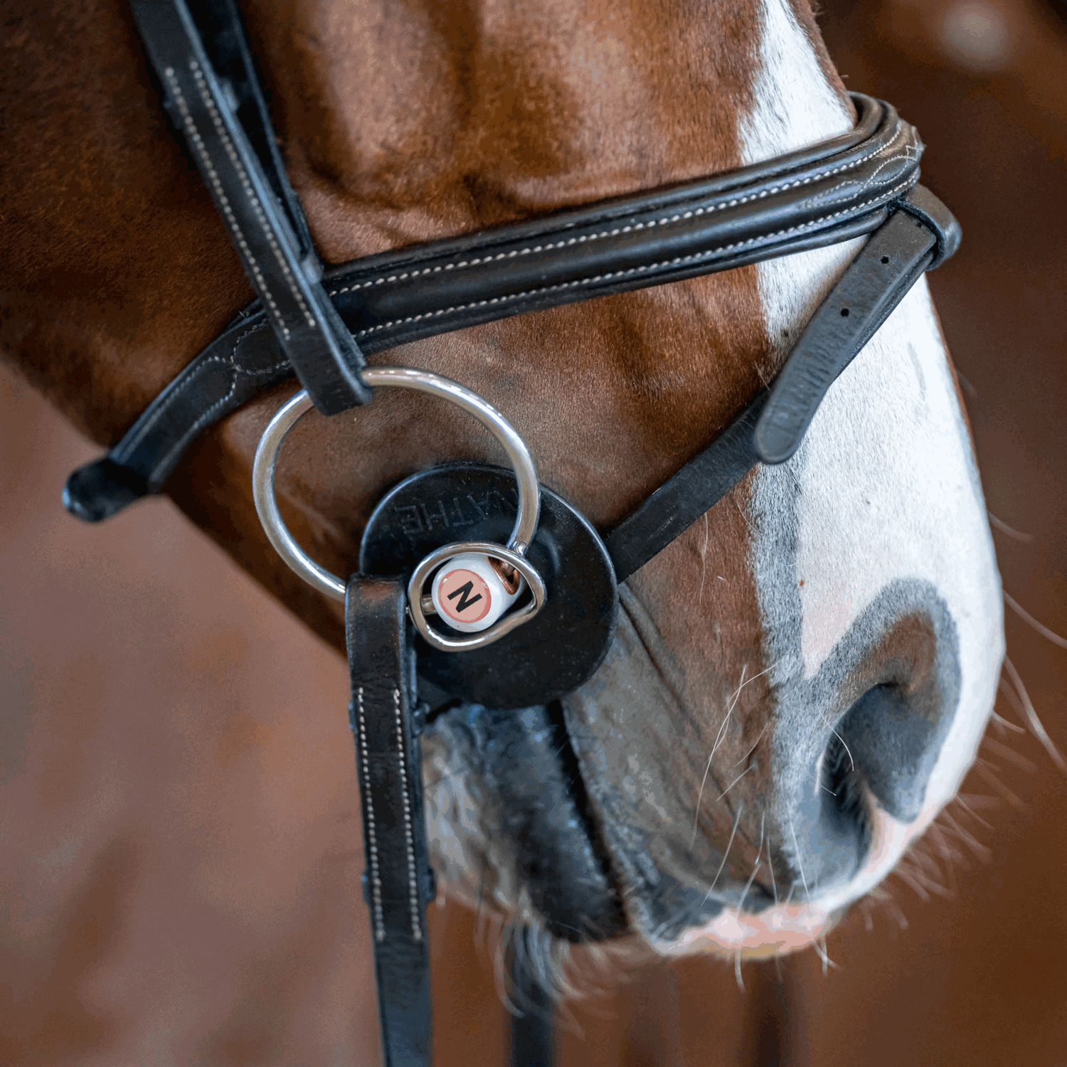 Nathe Standardgebiss 20 mm mit zusätzlichem kleinen Ring | 40871_03.png | 1731065022