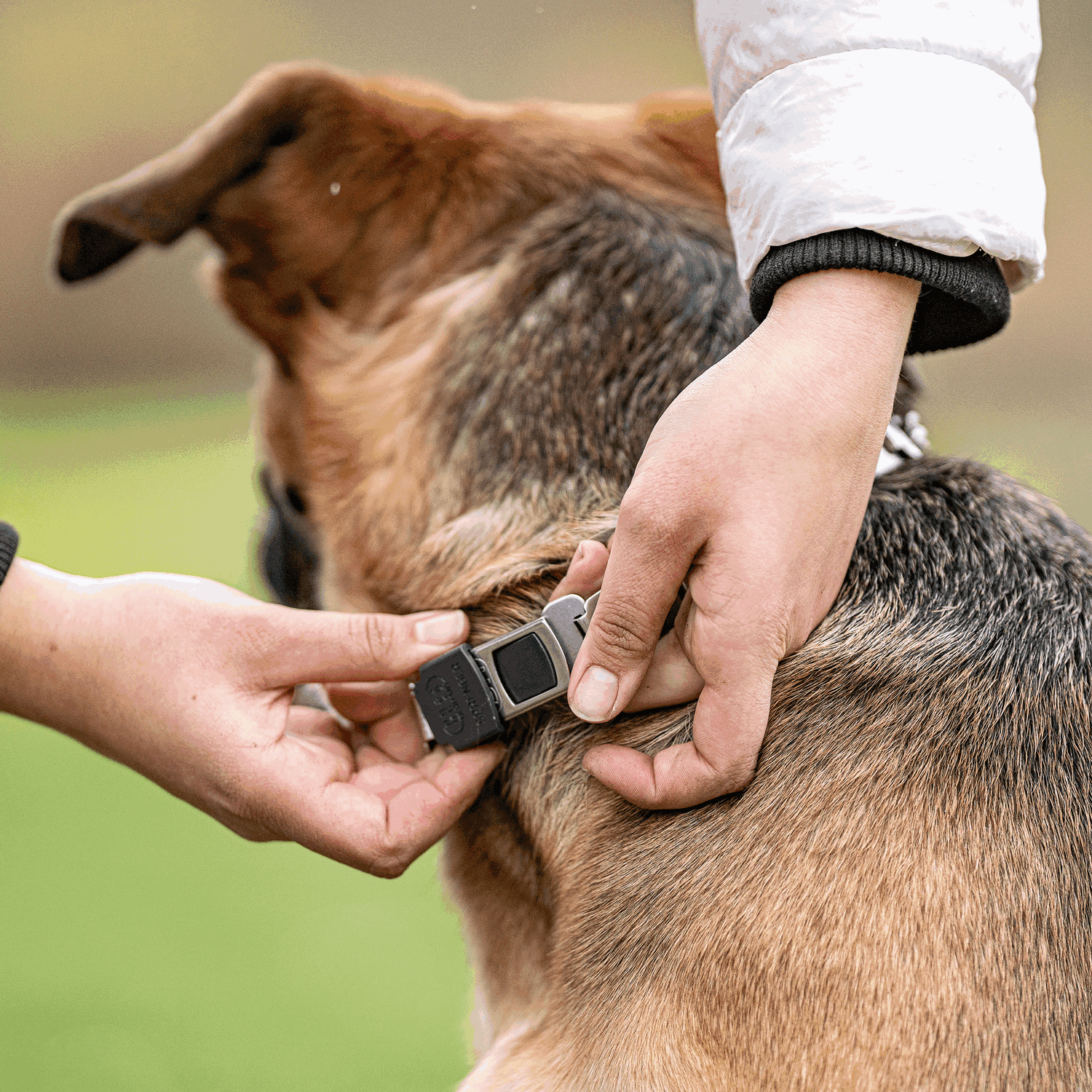 NeckTech Fun mit Durchzugskette und ClicLock Edelstahl Rostfrei | 50166_55-16.png | 1731103351