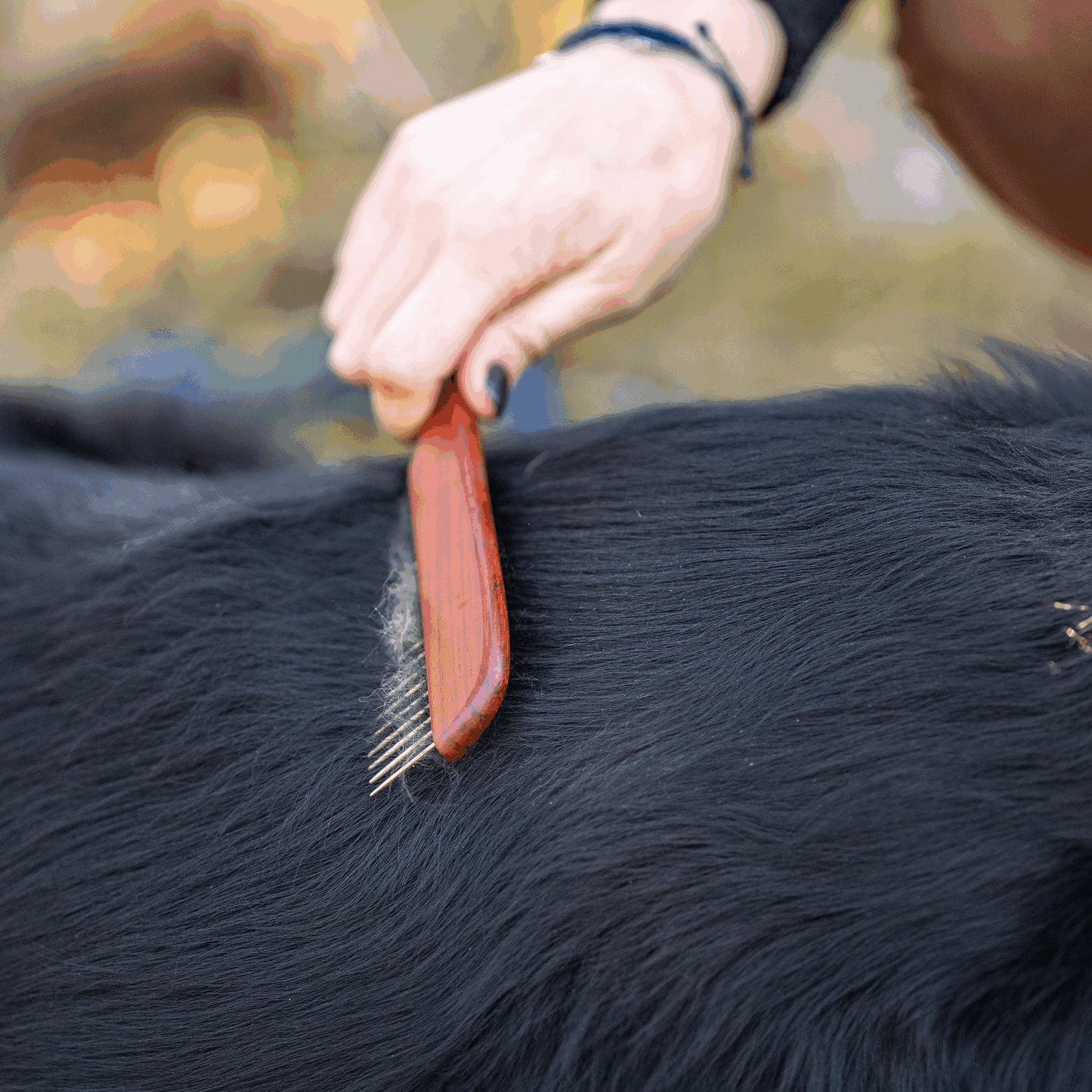 Hundekamm 30 mm Stahlzinken | 5675000100_4.png | 1729436410