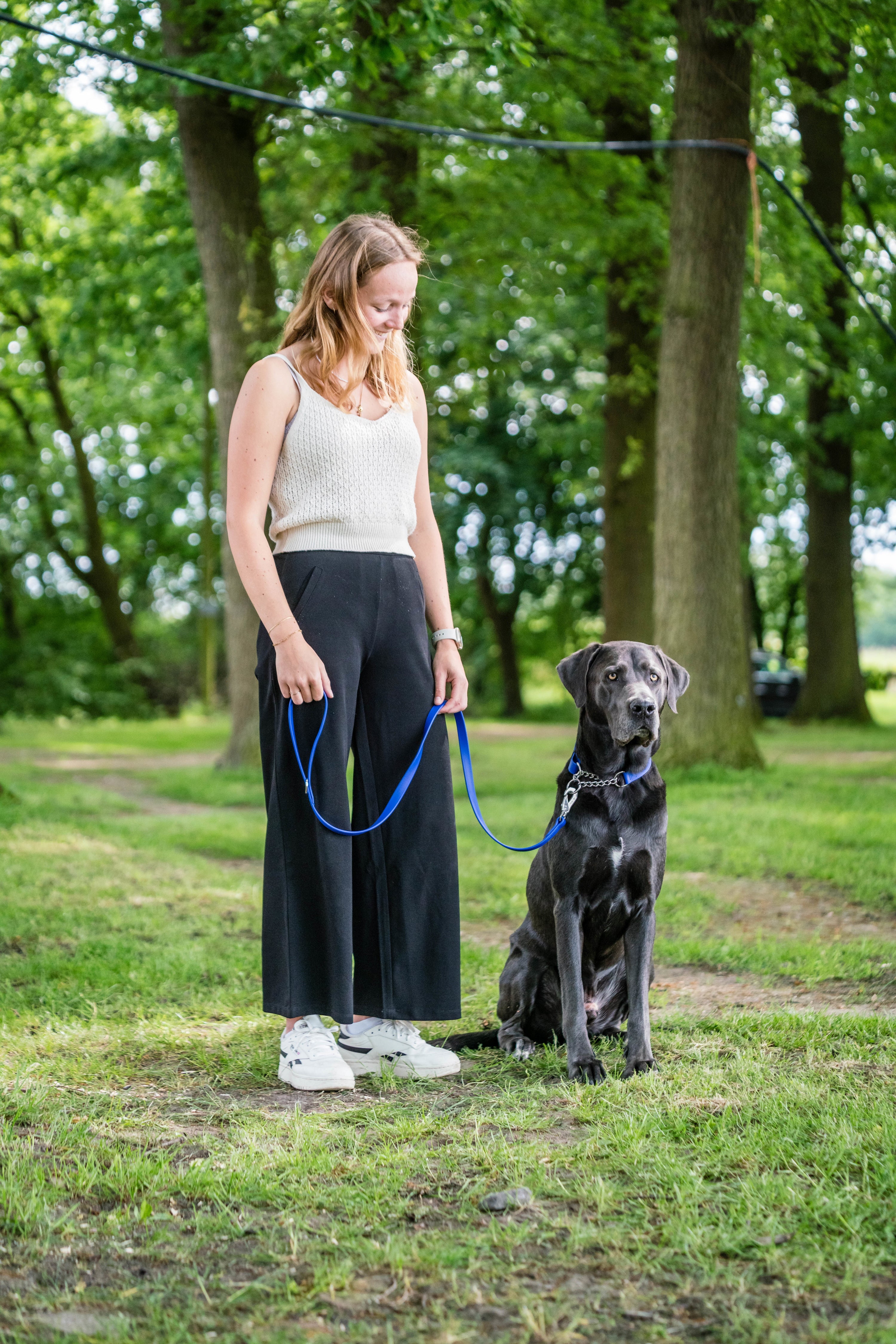 16000482 | biothane-leine-mit-handschlaufe-und-halsband-blau.jpg