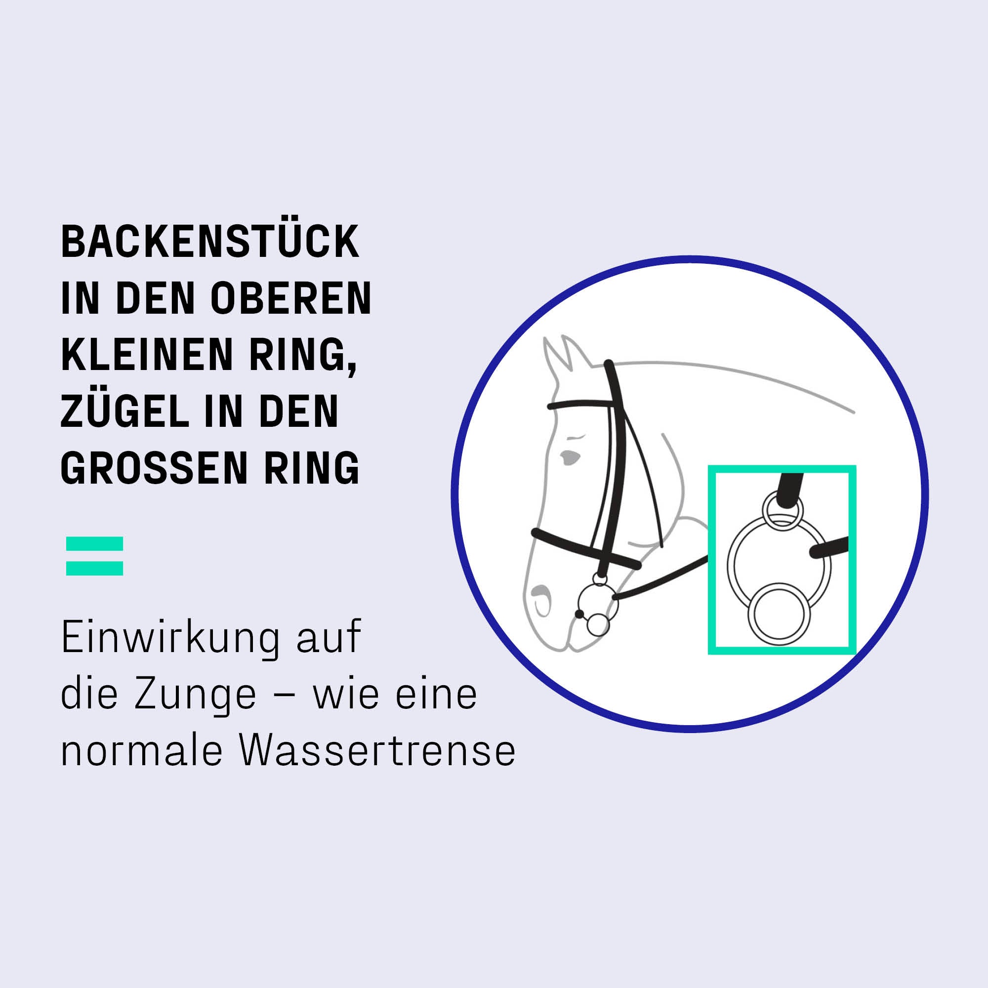 8516093 | verschnallung-3-ring.jpg